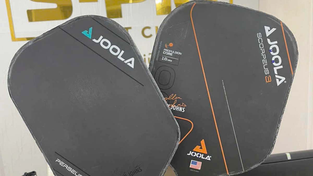 thay vien vot puckleball